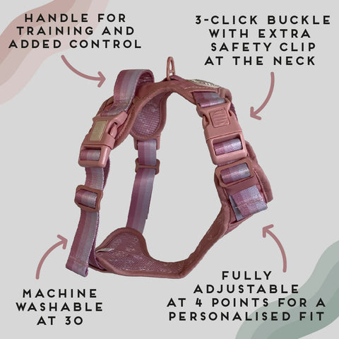 Ombré Essentials | 3-Click Tough Harness | Rose Pink