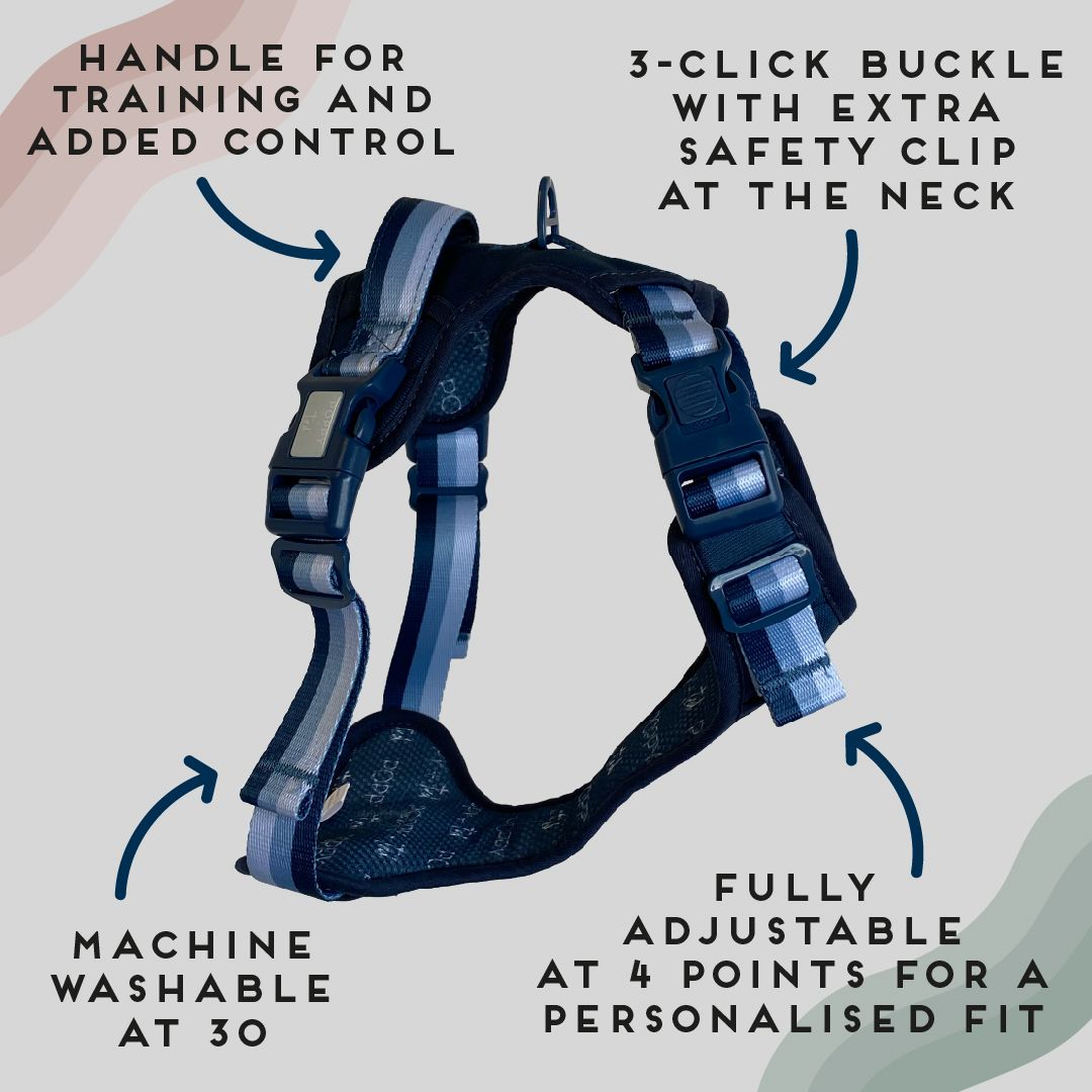 Ombré Essentials | 3-Click Tough Harness | Navy Blue