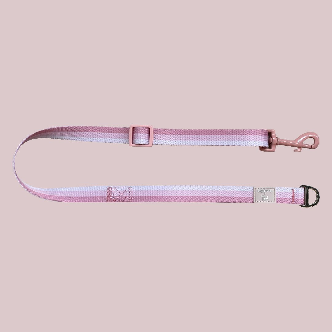 Ombré Essentials | Dog Split Lead - Splitter Attachment | Rose Pink