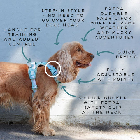Ombré Essentials | 3-Click Tough Harness | Rose Pink