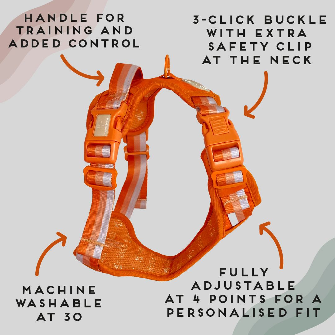 Ombré Essentials | 3-Click Tough Harness | Auburn Orange