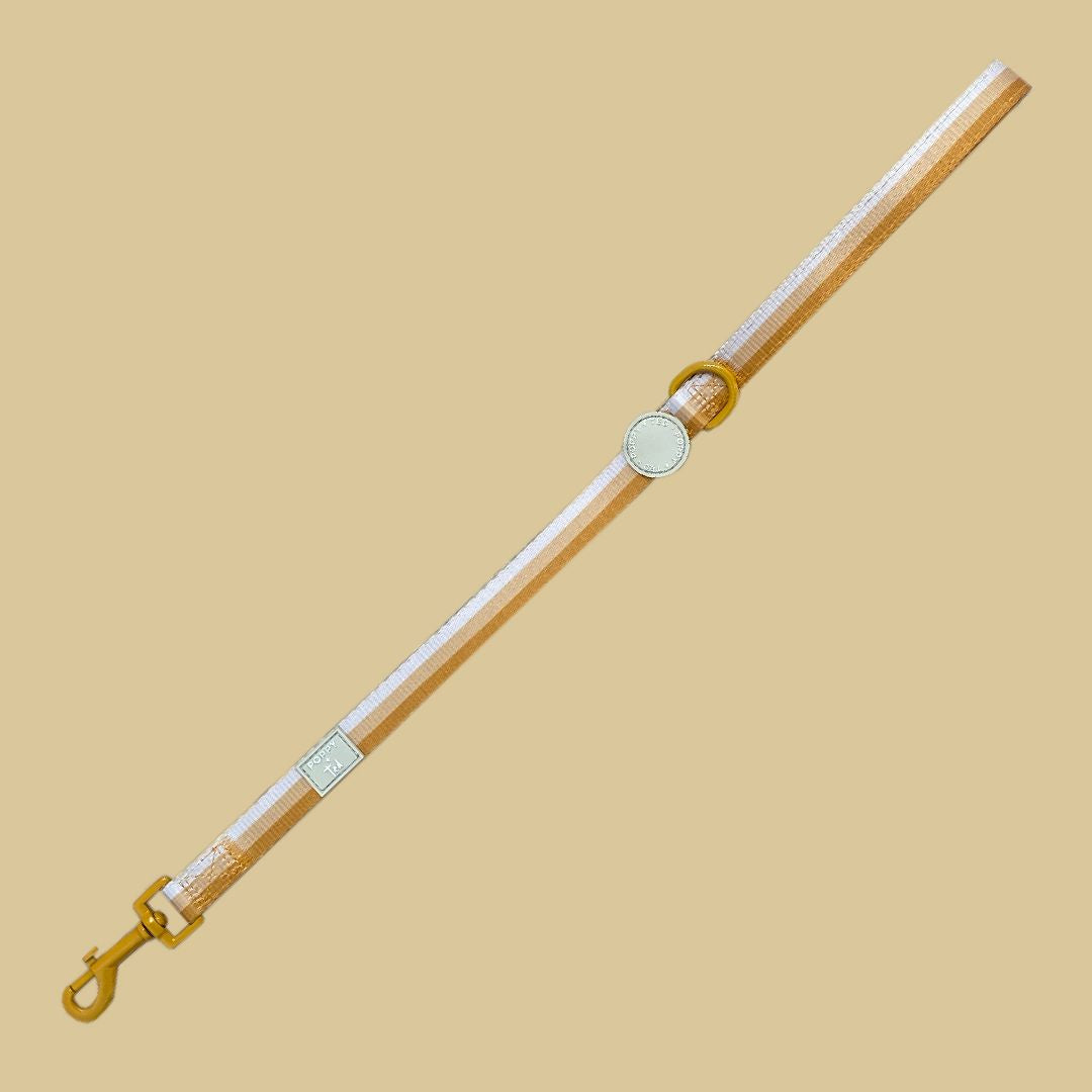 Ombré Essentials | Dog Traffic / Split Lead Handle | Yellow Gold