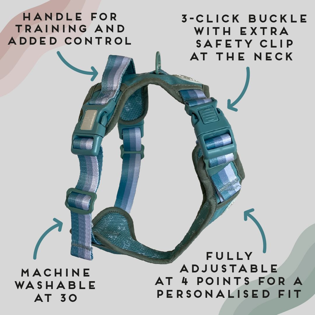 Ombré Essentials | 3-Click Tough Harness | Mint Green
